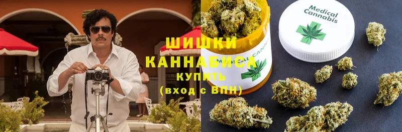 продажа наркотиков  mega зеркало  Бошки Шишки White Widow  Моздок 